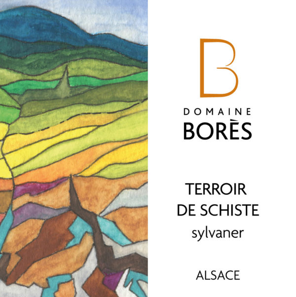 sylvaner_schistes_Vin d'Alsace Domaine Borès Reichsfeld