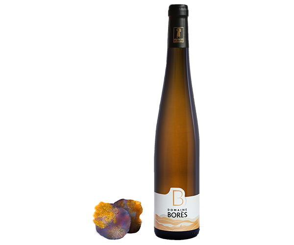 pinot_gris_selection_de_grains_nobles_schieferberg_2017 Vin d'Alsace Domaine Borès Reichsfeld