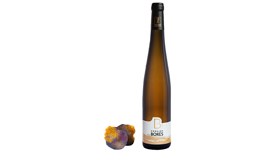 pinot_gris_selection_de_grains_nobles_schieferberg_2017 Vin d'Alsace Domaine Borès Reichsfeld