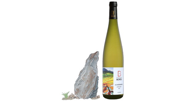 pinot_gris_xxl_schieferberg_2017 Vin d'Alsace Domaine Borès Reichsfeld