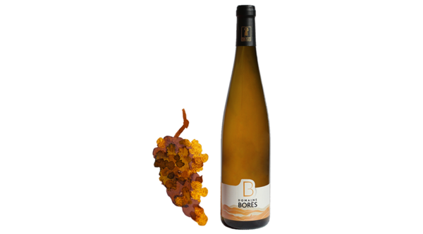 riesling schieferberg vendanges tardives Vin d'Alsace Domaine Borès Reichsfeld