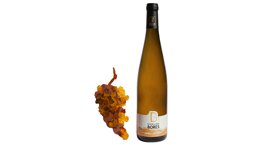 riesling schieferberg vendanges tardives Vin d'Alsace Domaine Borès Reichsfeld