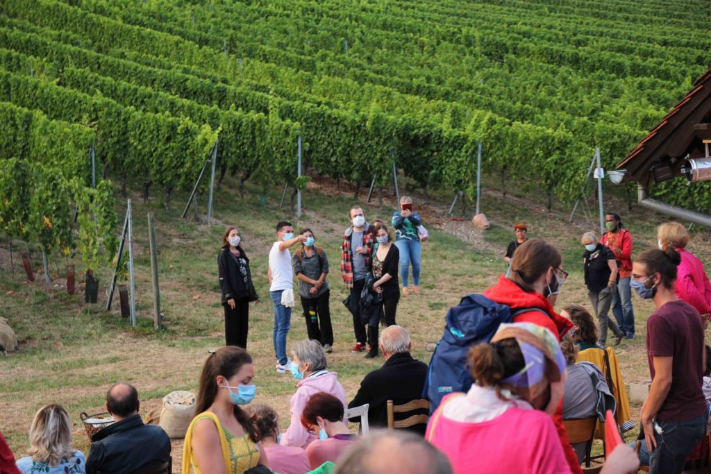 Soirs à Pressoirs 2020 théâtre et vin dans les vignes au Domaine Borès à Reichsfeld - Vins d'Alsace